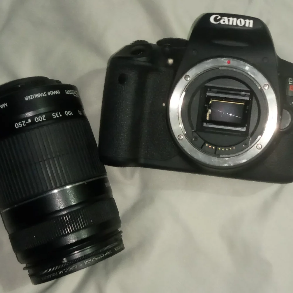 canon efs 55-250mm lens used with Canon EOS Rebel T5i